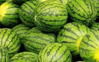 吃瓜网免费官网,畅享海量资讯，轻松获取热门八卦